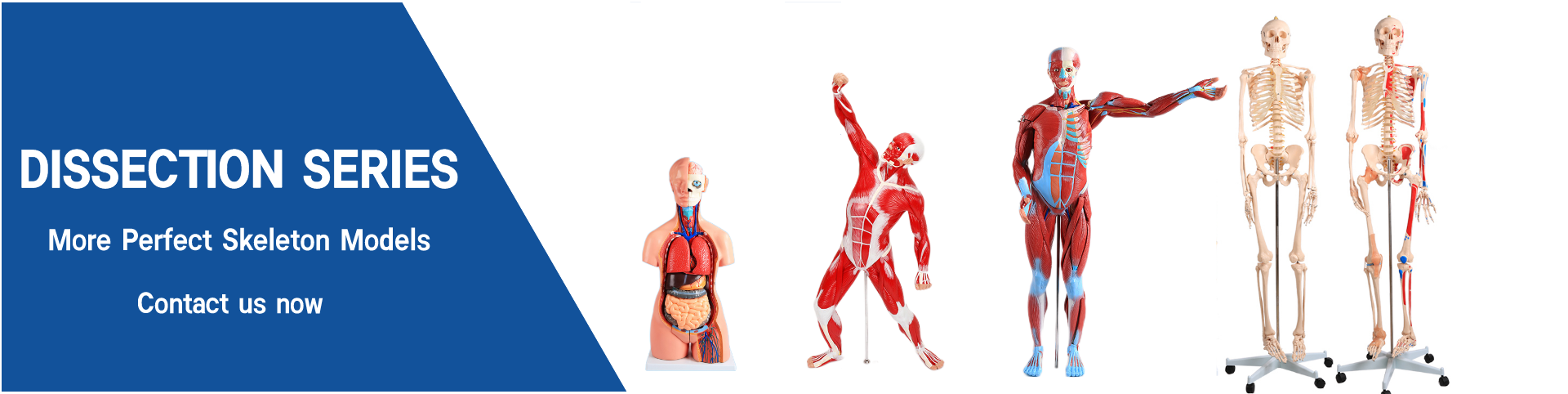 Medical Series